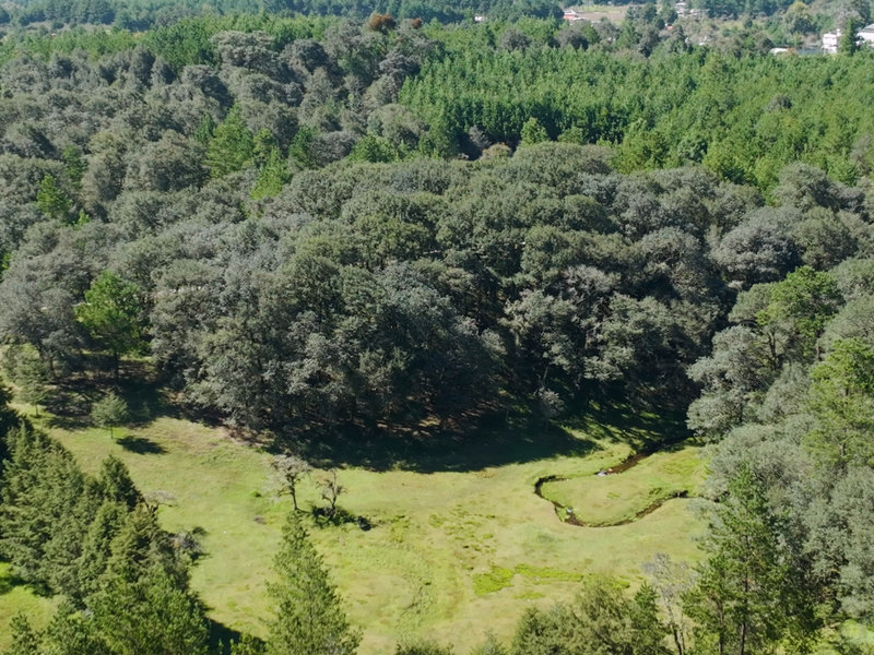 Fraccionamiento campestre · 25 lotes en venta